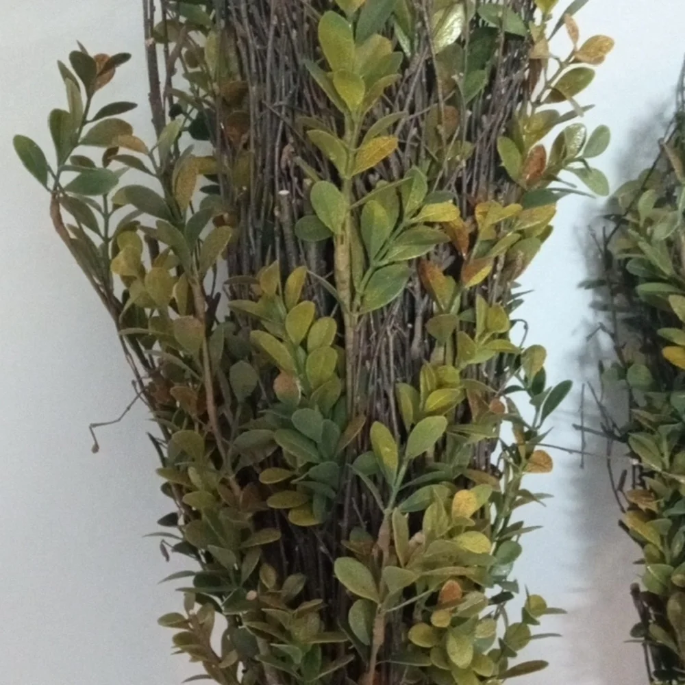 2 Preserved Boxwood Topiary Plant Bundles Rustic Farmhouse Decor 20